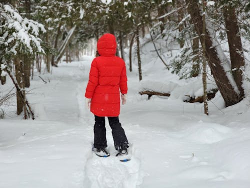 Person in Red Winter Jacket Walking on Snow Covered Ground