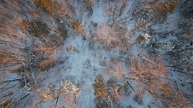 Aerial view of a snow-covered forest in winter, Huntsville, Ontario.