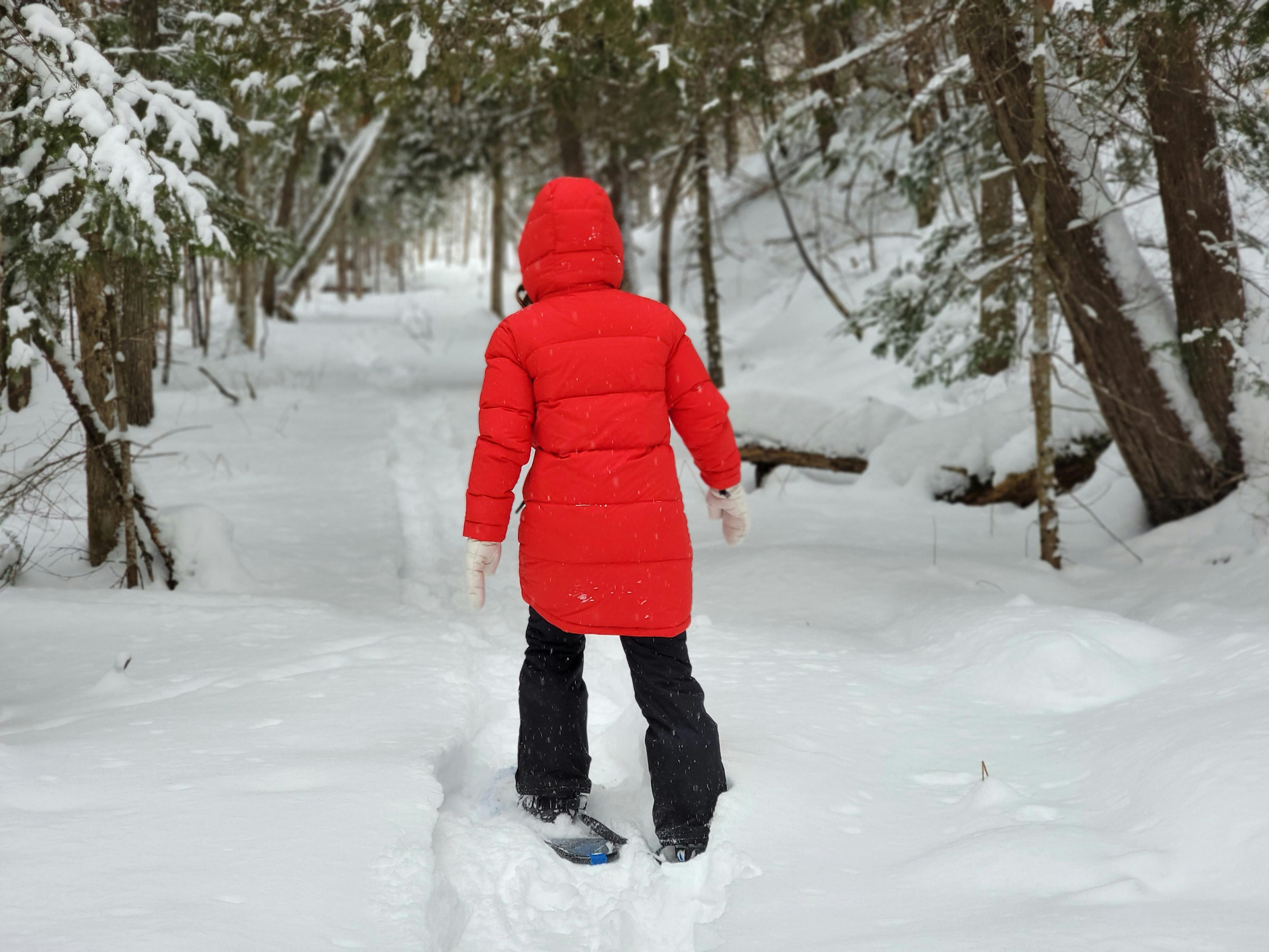 Snowshoeing through winter forest