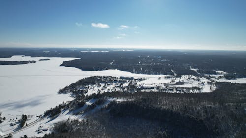 Aerial View of Snow Covered Land and Trees