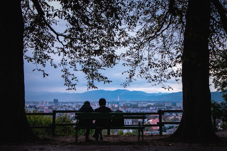 People Sitting On Bench Under The Tree 