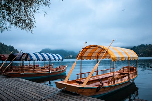 Brown Wooden Boats With Canopy on Dock