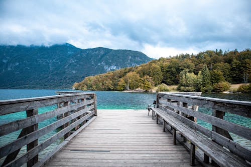 A Wooden Dock on the Lake