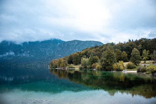 Green Trees Near Lake Under White Clouds