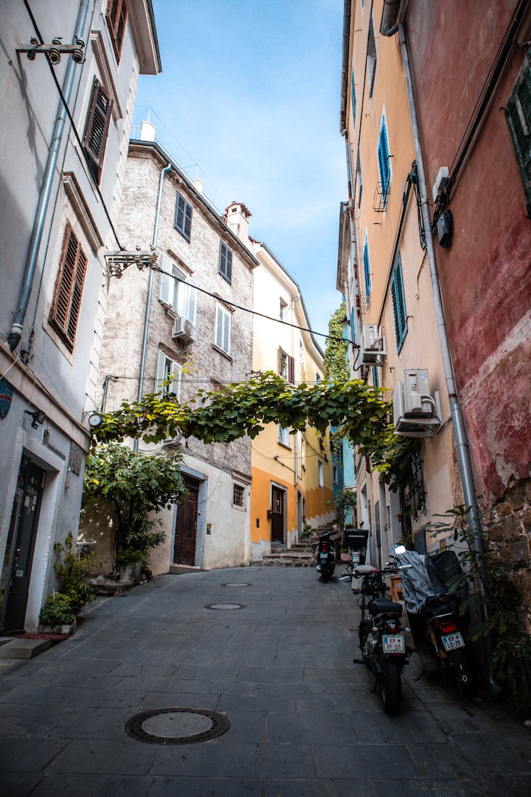 Narrow Street In Town