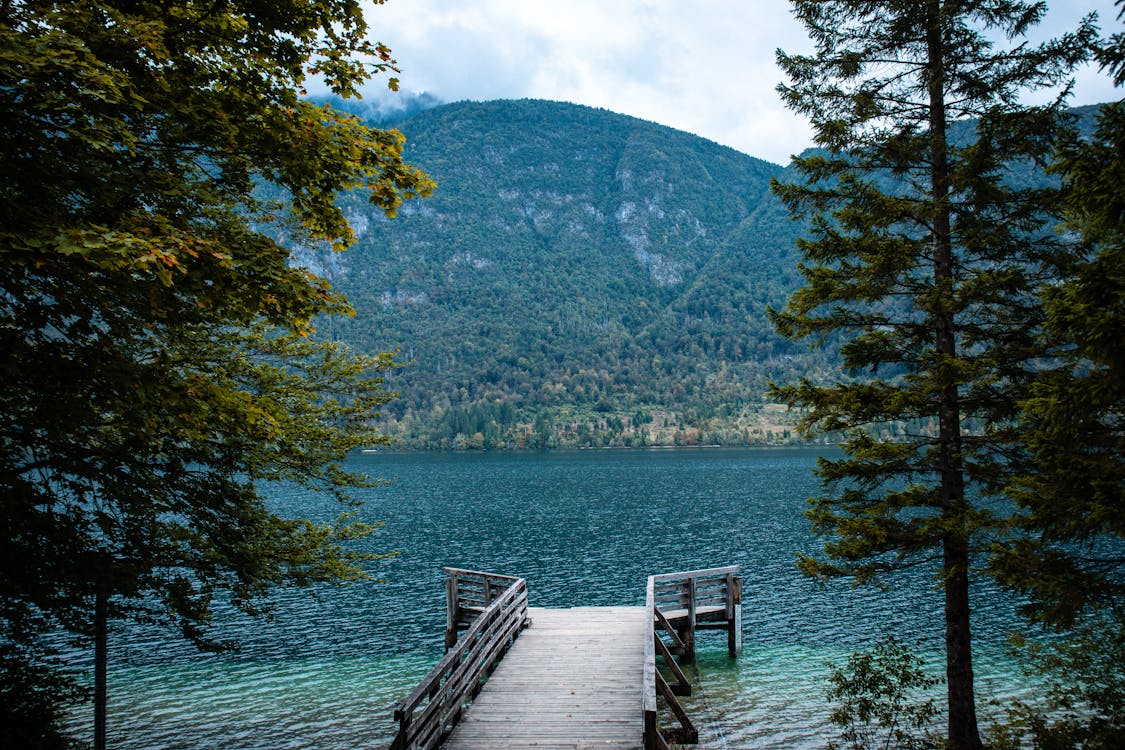 Brown Wooden Dock on Lake Near Green Trees and Mountain