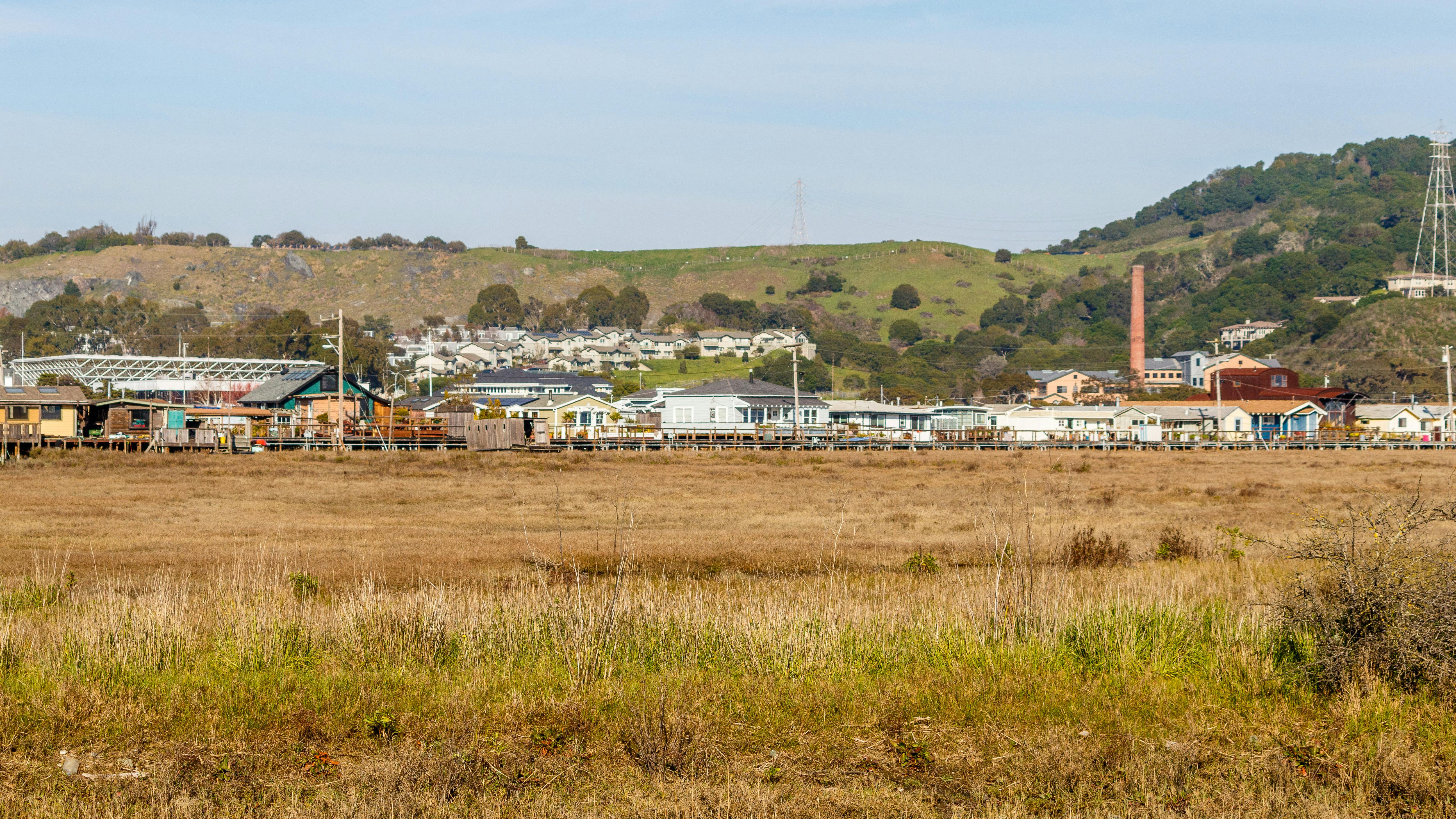 Marin County District 1 supervisor candidates differ on flooding response, sea level rise — Photo by Robert So on Pexels