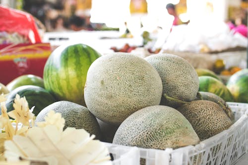Photo of Melons on White Plastic Basket