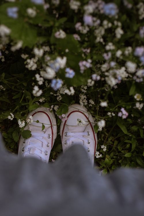 Free Top view of white sneakers amidst blooming wildflowers, capturing a serene moment in nature. Stock Photo