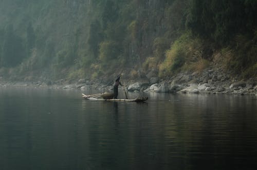bezplatná Základová fotografie zdarma na téma člun, jezero, kajak Základová fotografie