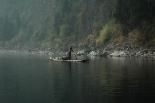 Бесплатное стоковое фото с байдарка, весло, вода