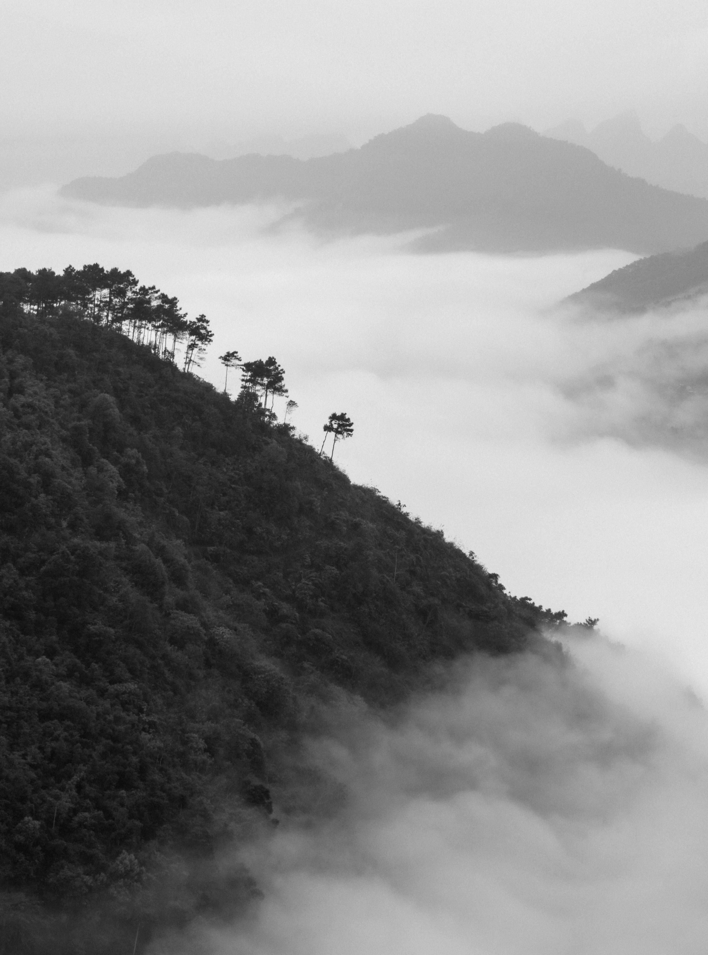 Misty mountain landscape in black and white, serene and enigmatic.