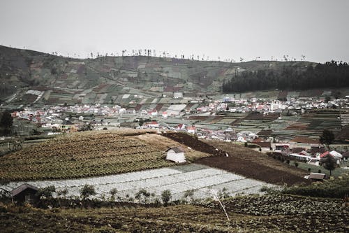 Foto d'estoc gratuïta de agricultura, barraques, cabanes