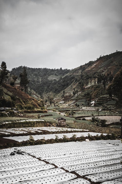 Landscape View of Mountain Farmland