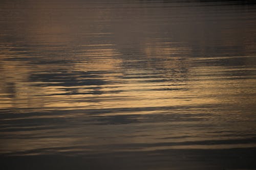 Бесплатное стоковое фото с вечер, вода, закат