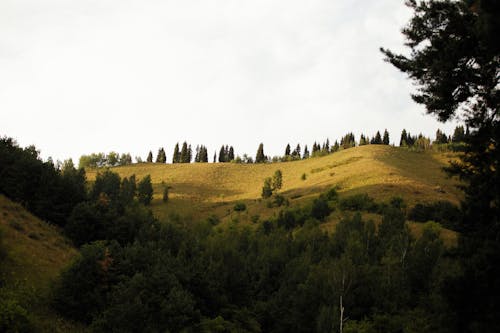 Photo of a Hill 