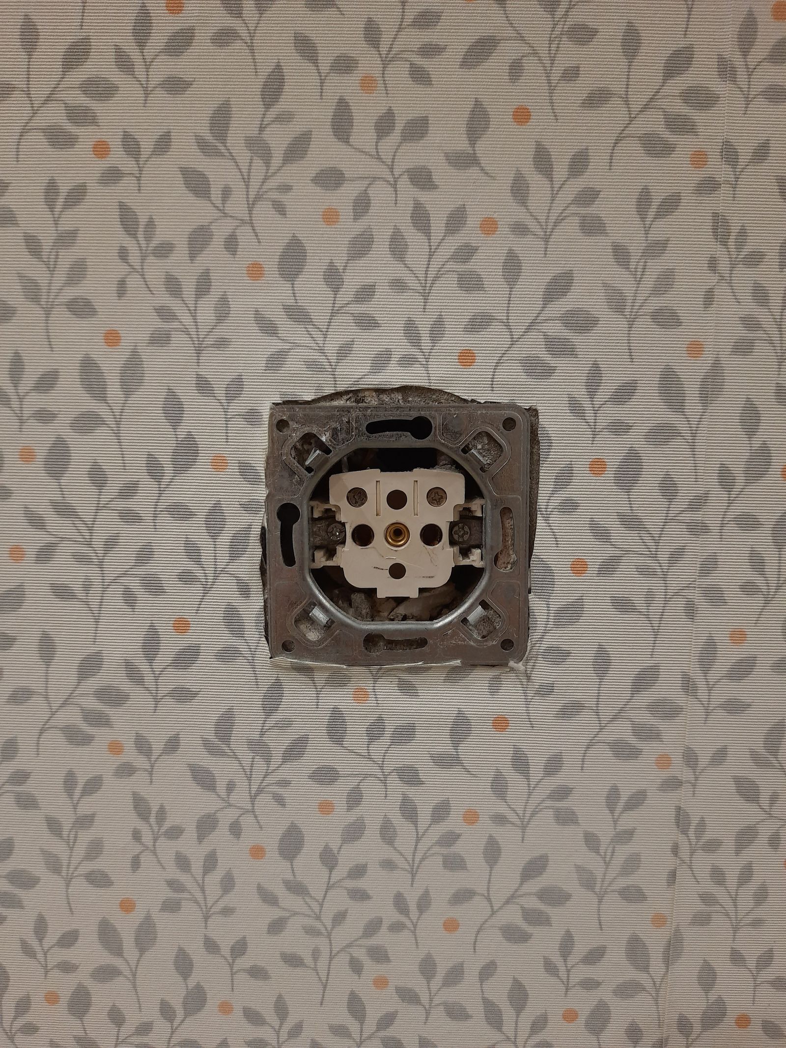 Tapezieren: Detailaufnahme einer frisch tapezierten Wand