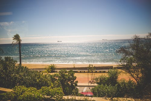 Безкоштовне стокове фото на тему «берег моря, вода, дерева»