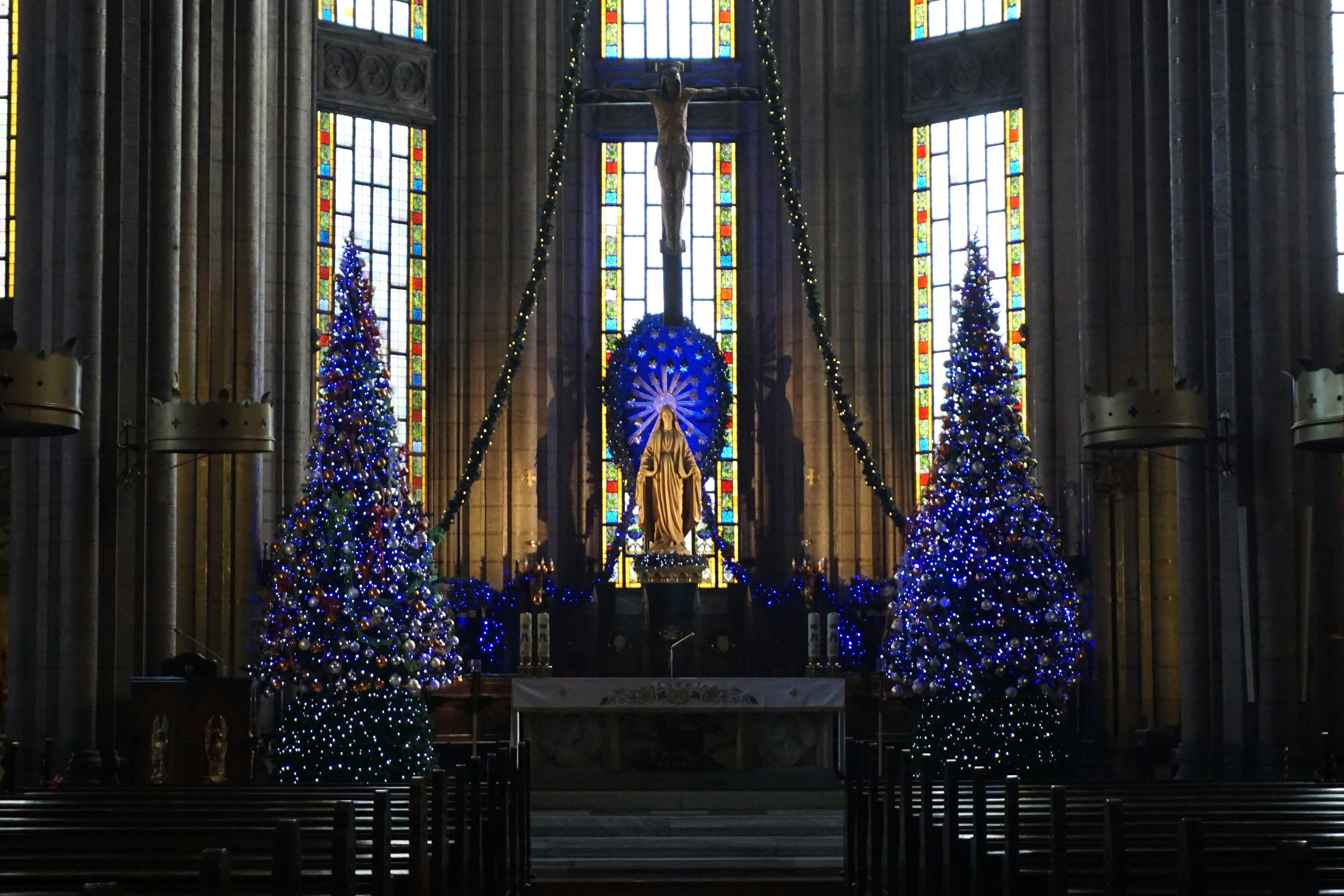 interior of old catholic church with christmas trees