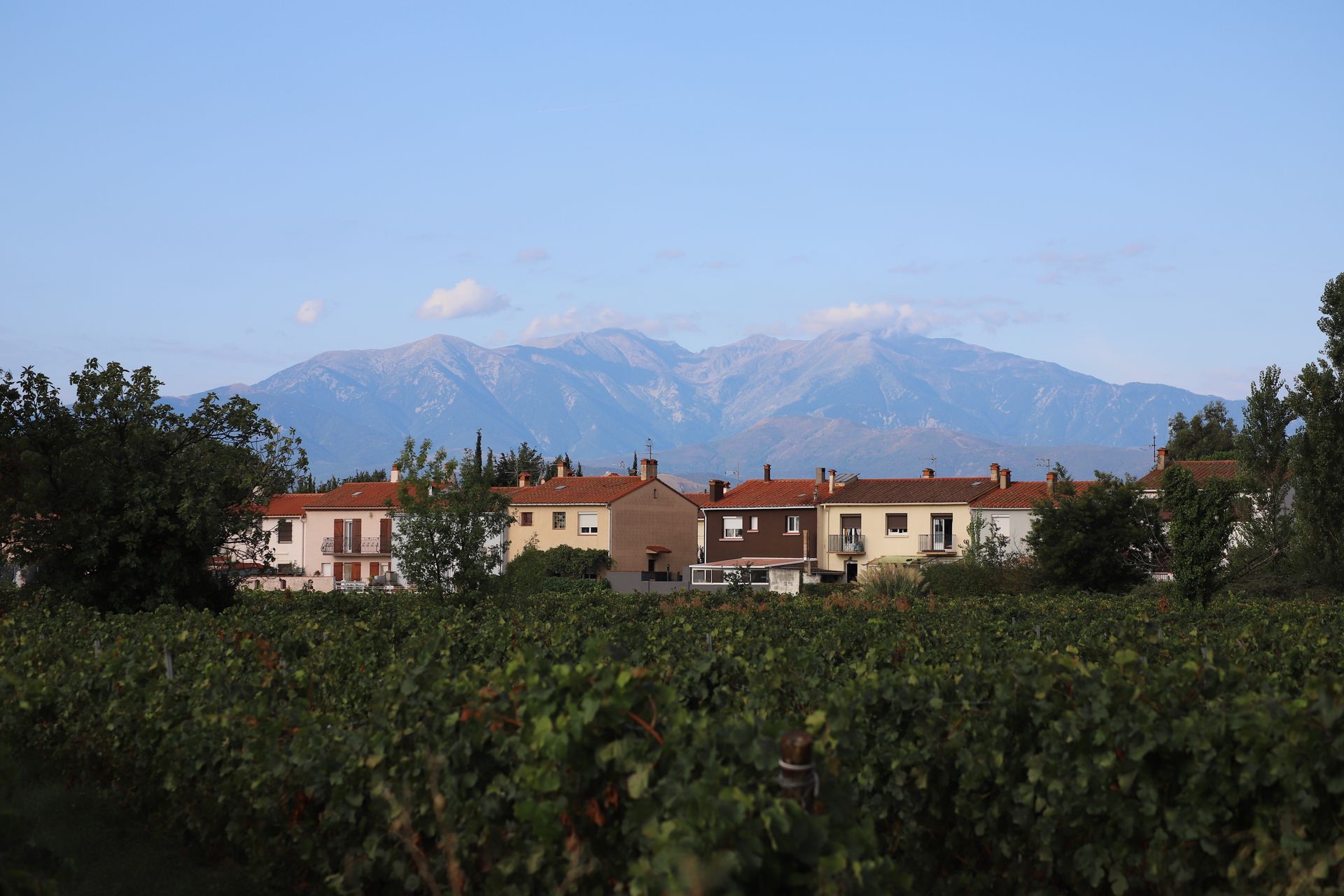 Landscape View of Countryside Concrete Houses