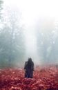 Person in Black Jacket Standing on Red Flower Field during Foggy Weather