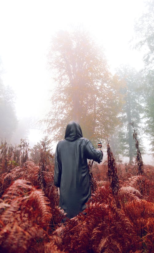 Free Woman in Black Hoodie Standing on Brown Grass Field Stock Photo