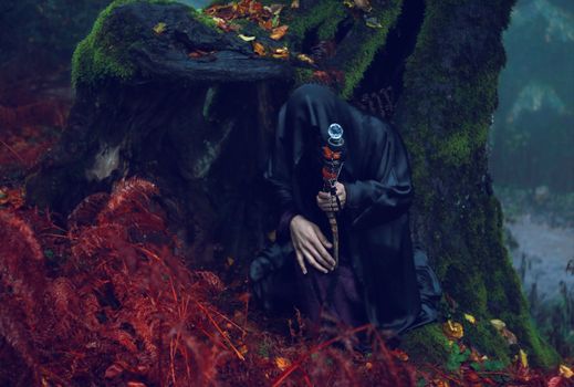 Enlightening scene of a cloaked figure with staff in a mysterious forest surrounded by red ferns.
