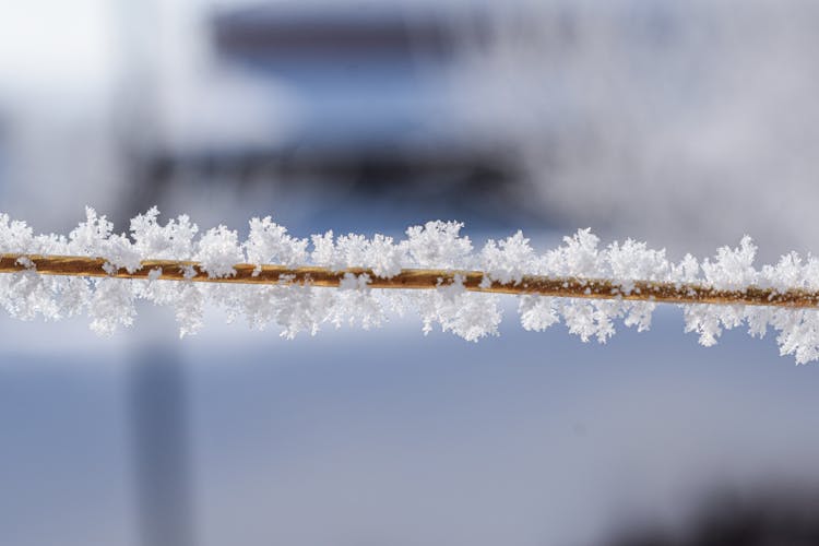 Close-up Of Frost On A Wire