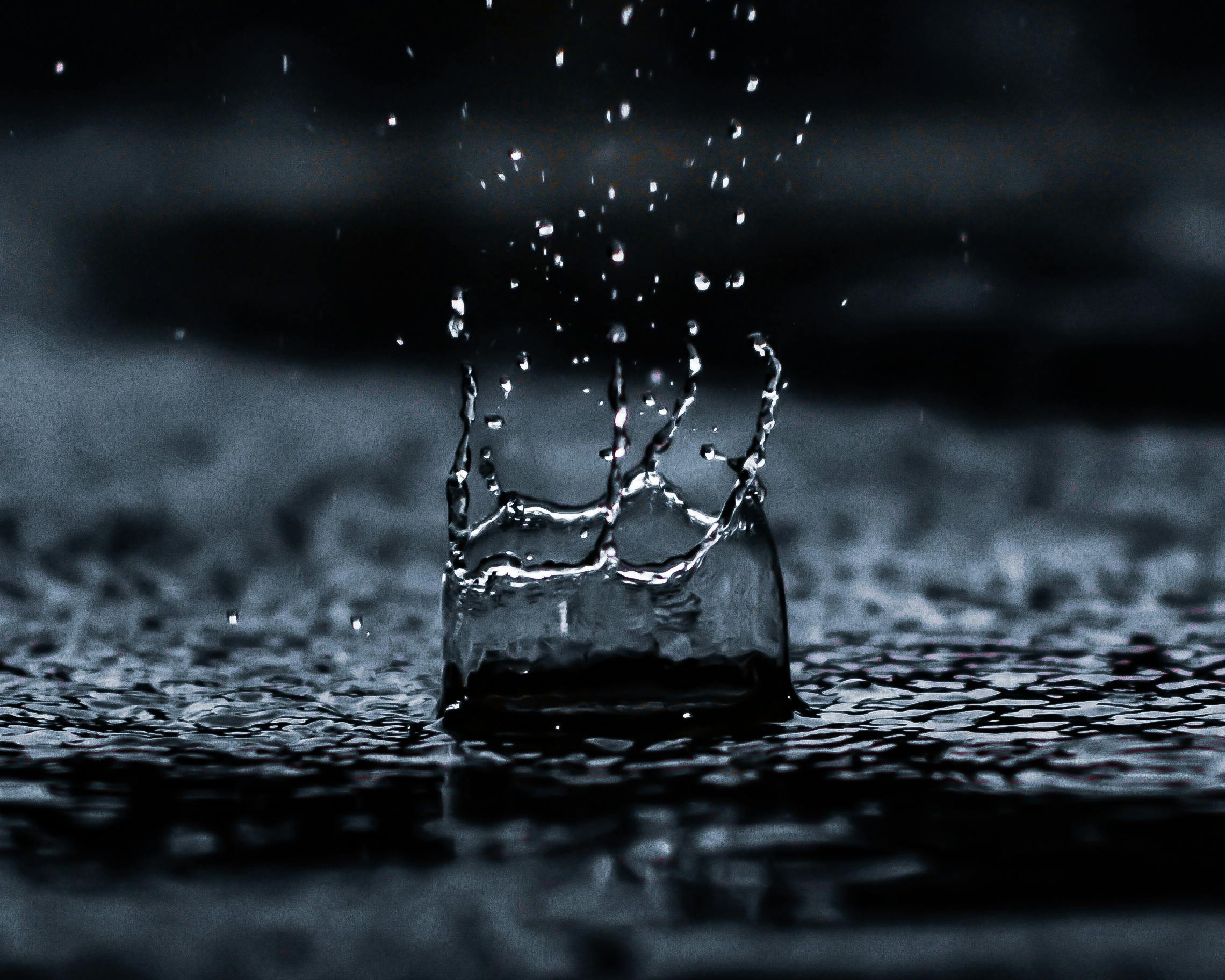 500+ Amazing Rain Photos · Pexels · Free Stock Photos