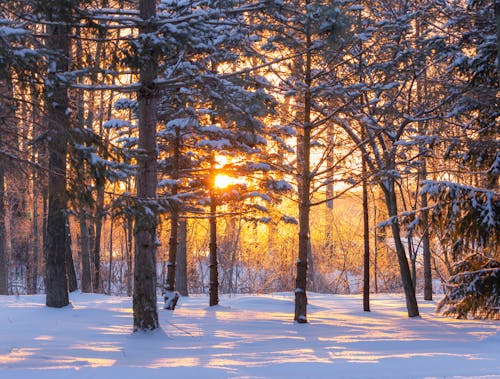 Ilmainen kuvapankkikuva tunnisteilla aamu, auringonlasku, auringonnousu