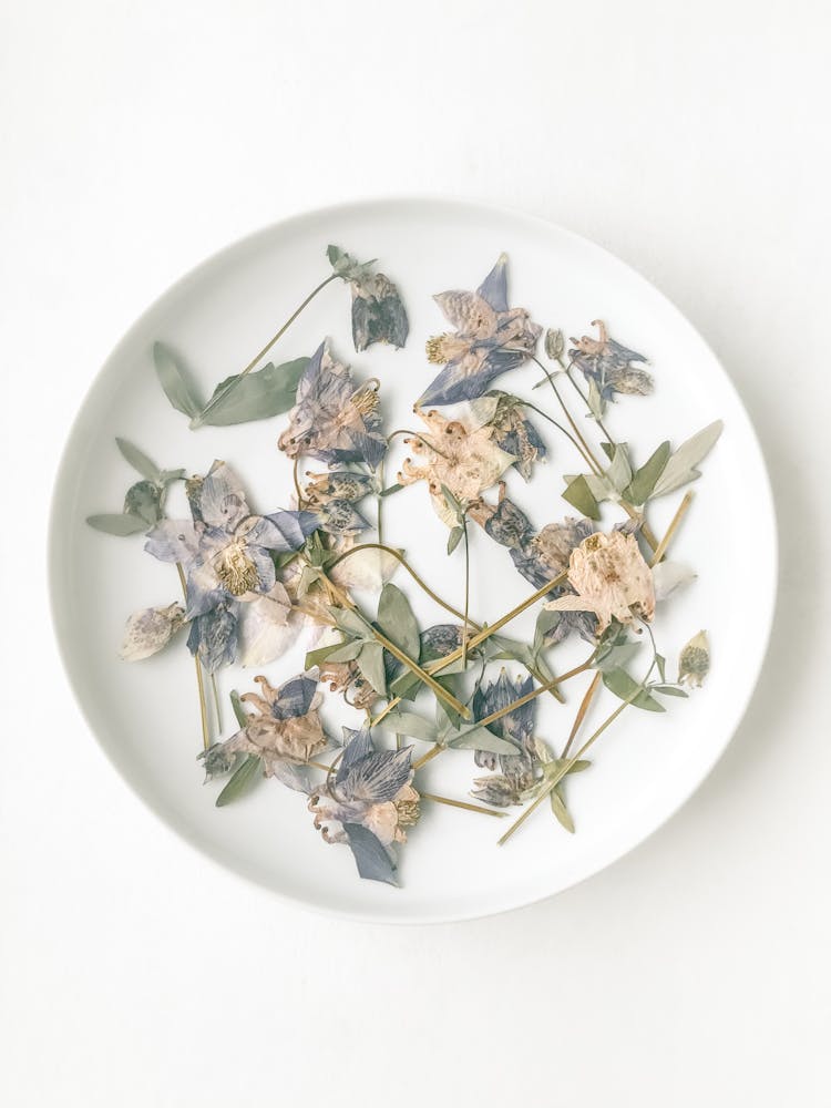 Dry Flowers On Plate On White Background