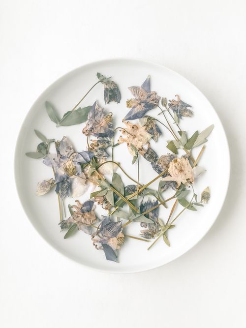 Free Dried flowers elegantly arranged on a white plate, showcasing botanical beauty. Stock Photo