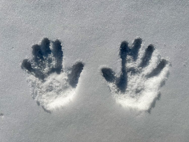 Hand Prints On Snow