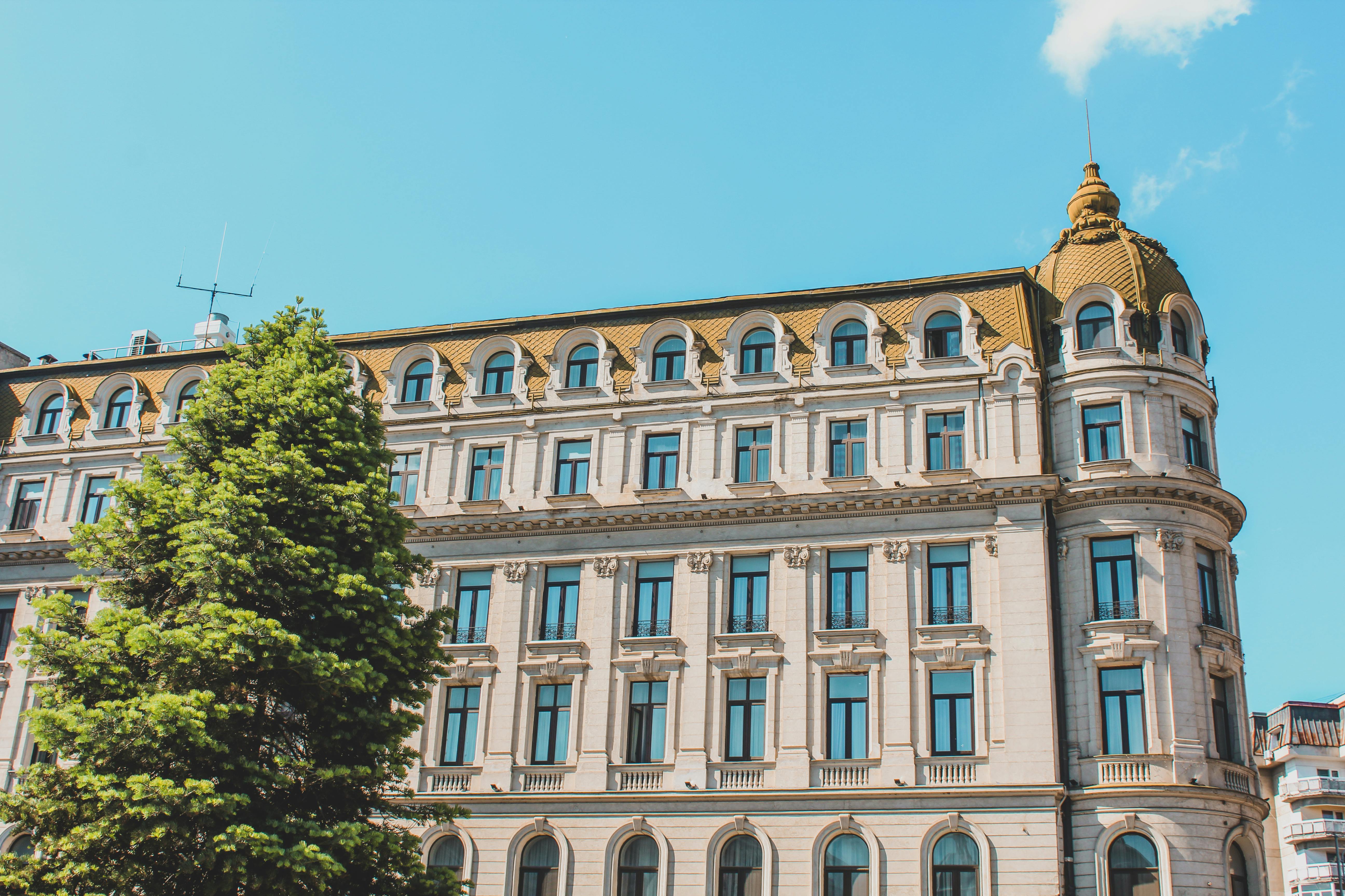 Ein historisches Gebäude mit goldener Kuppel und neoklassizistischer Architektur in Bukarest, Rumänien, vor klarem blauem Himmel mit einem großen grünen Baum im Vordergrund.