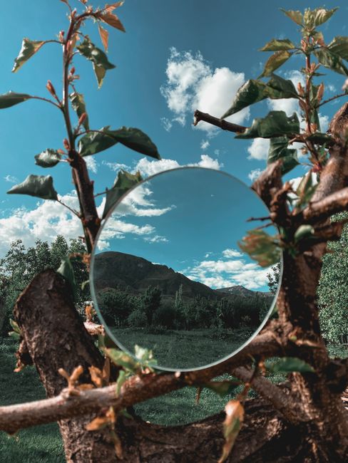A circular mirror reflects the vibrant landscape and blue sky, surrounded by tree branches.