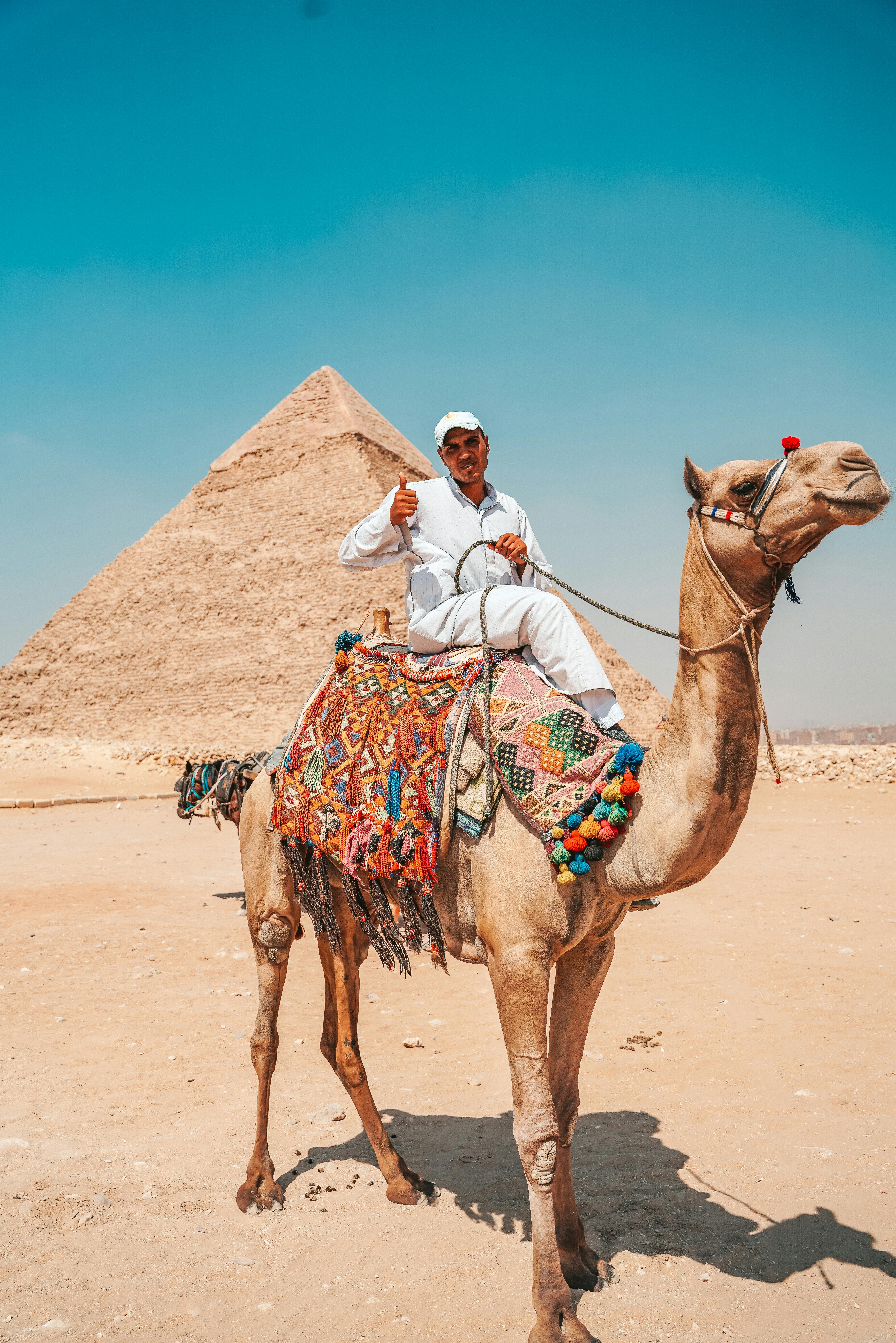 あたたかい, アフリカ, アラビア語, いいぞ, エジプト, エジプトの