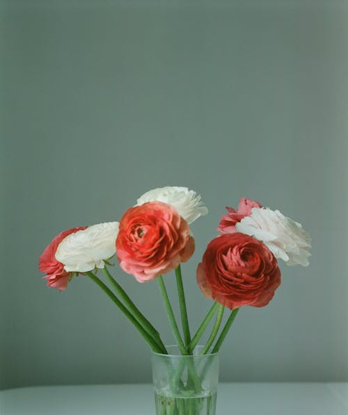 A White and Red Roses on a Glass Vase