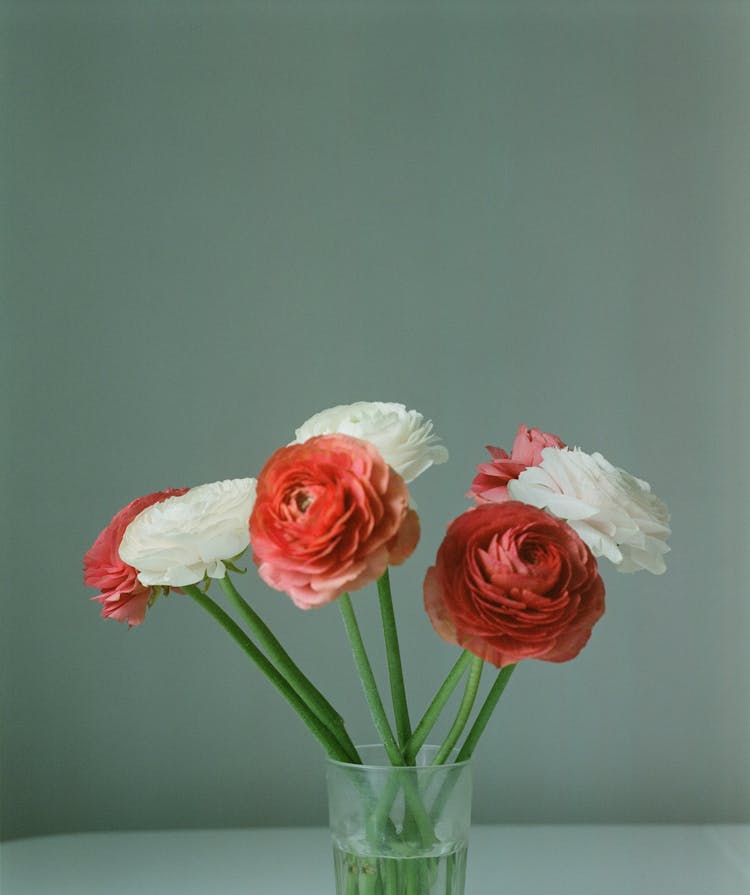 A White And Red Roses On A Glass Vase