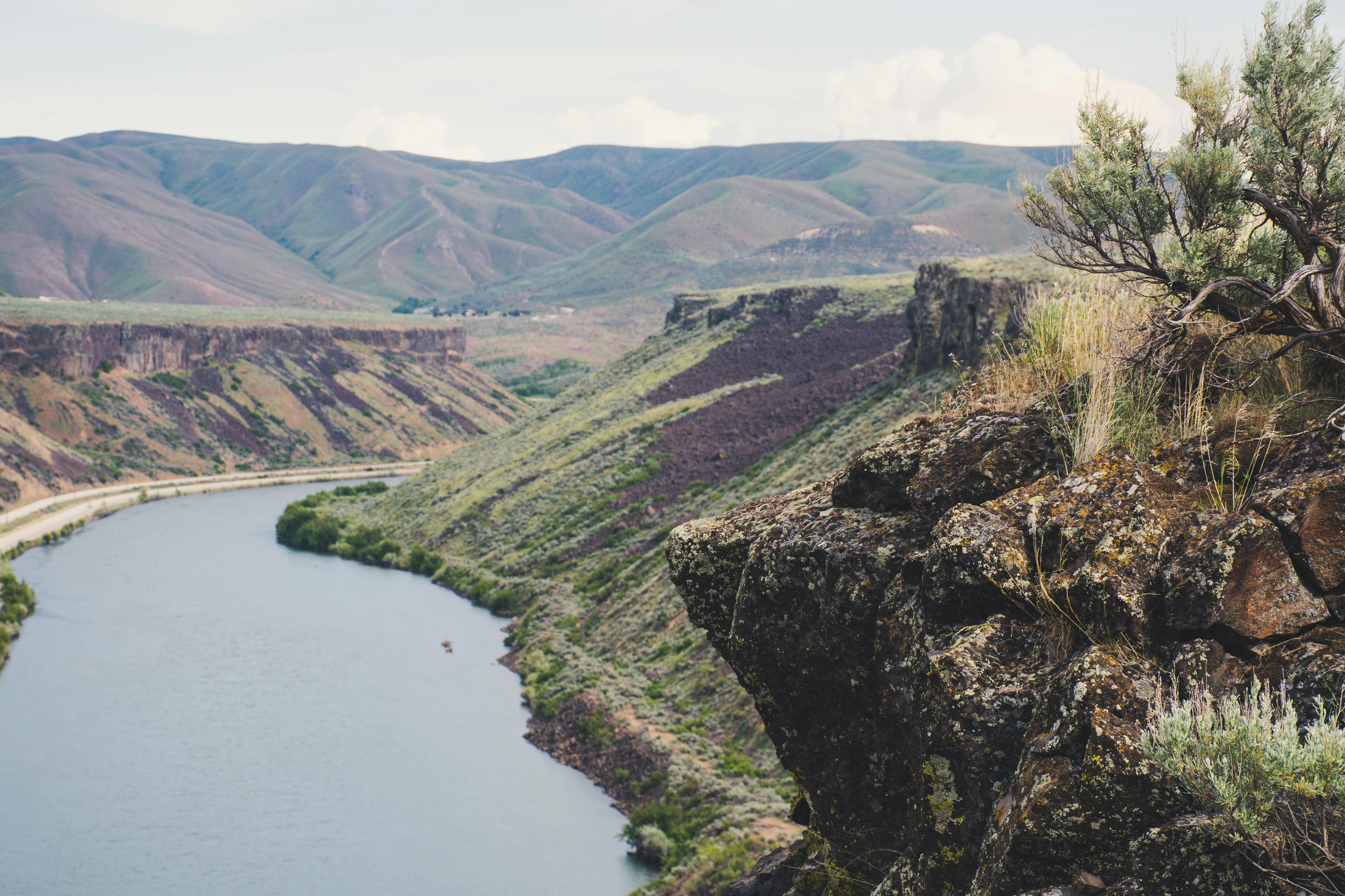 河流穿过雄伟的岩石峡谷，背景是郁郁葱葱的山丘