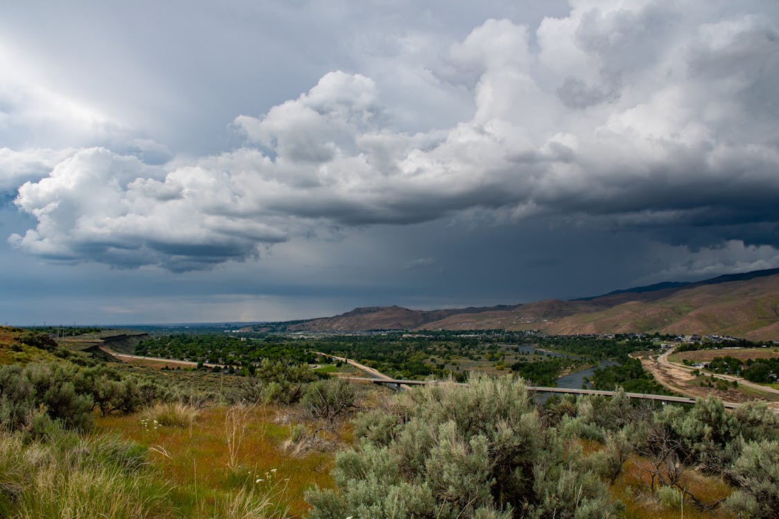 Green Foliage Treed Near Mountain Range With Cloudy Skies