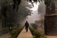 Man in Black Jacket Walking on Pathway