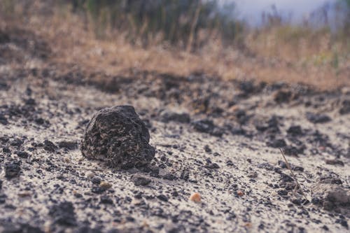 Close Up Photography of Small Black Stone