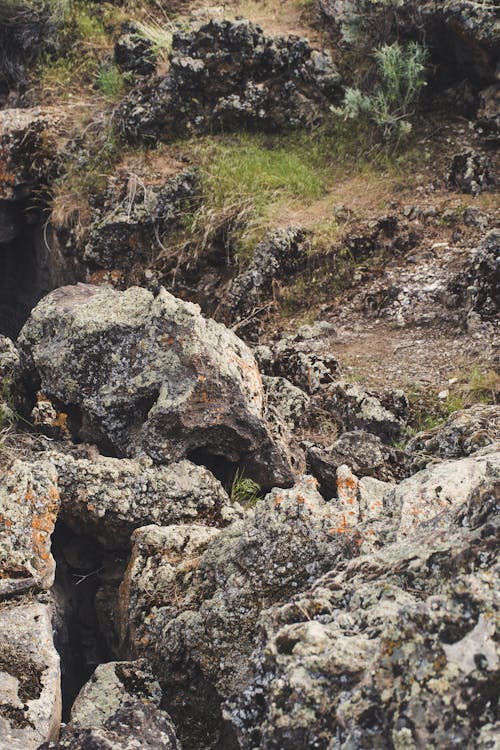 Gray Rocks · Free Stock Photo