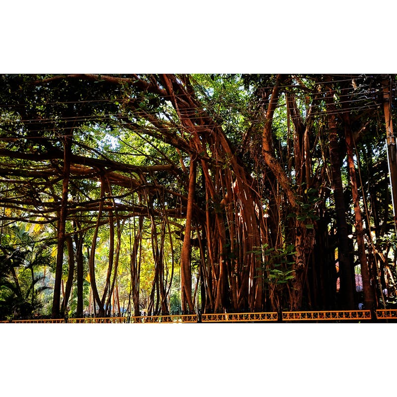 Gaza Flood Crisis 2026