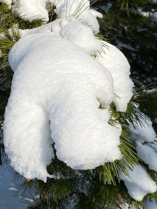 Free stock photo of cool, glas, snow