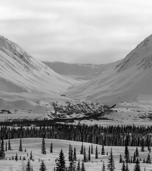 A Grayscale of Snow Covered Mountains
