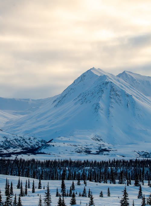 Arctic Landscape of Snowcapped Mountain 