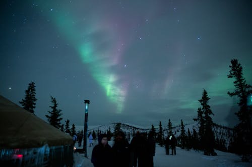 Free stock photo of aurora, aurora borealis, beautiful sky