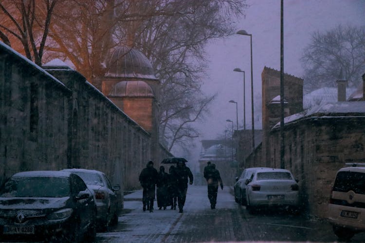 People Walking On The Street