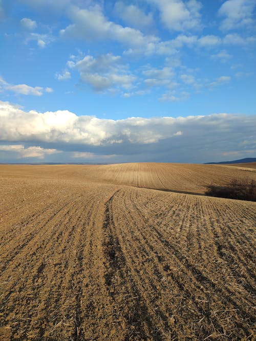 Immagine gratuita di campo agricolo, fotografia di paesaggio, orizzonte